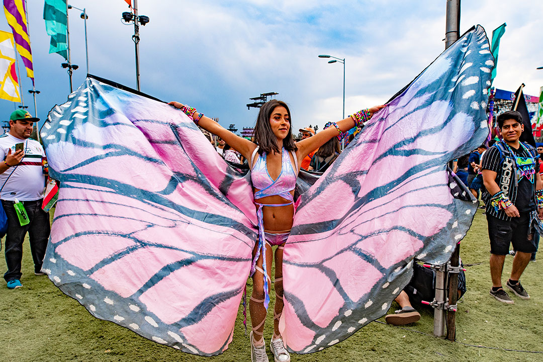 girl with wings