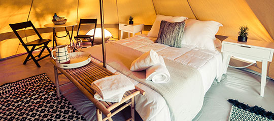 bedding