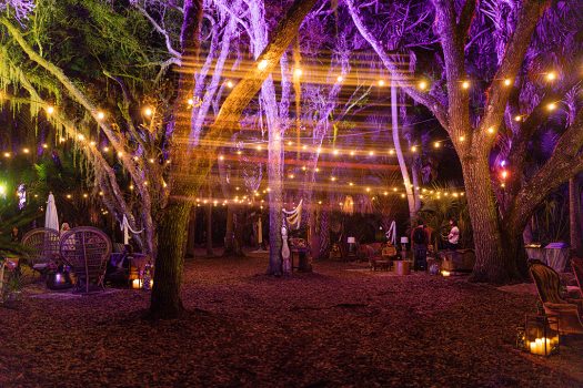 2022 Festival Gallery