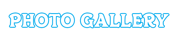 photo gallery
