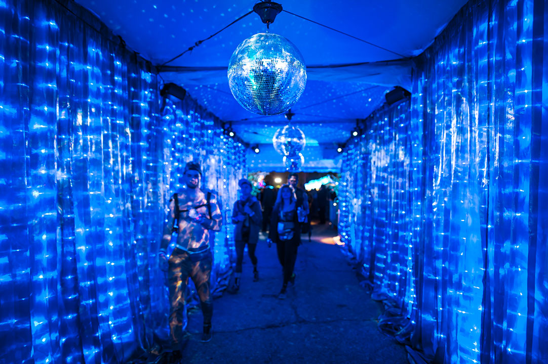 Welcome to the enchanted world of VIP!