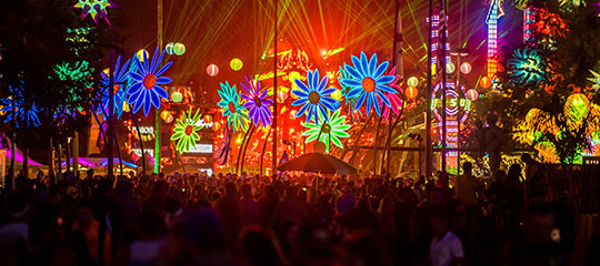 Glowing daisies at EDC Orlando